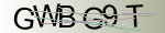 Captcha anti-spam