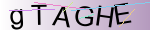 Captcha anti-spam